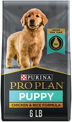 Purina Pro Plan Focus Puppy Chicken & Rice 6 lbs