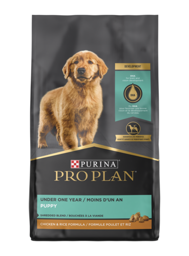 Purina Pro Plan Chicken & Rice Puppy 6 lbs