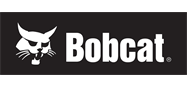 Bobcat